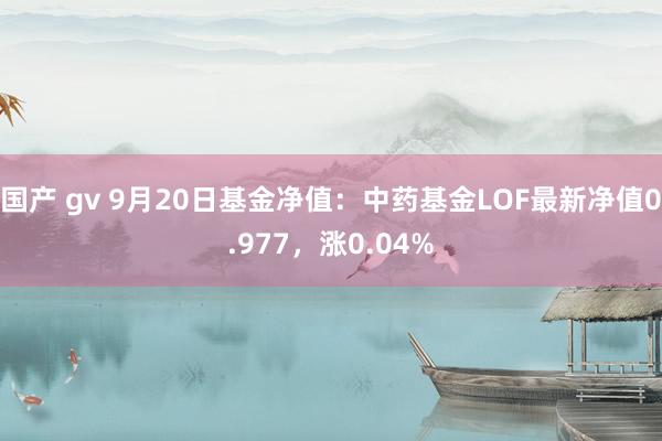 国产 gv 9月20日基金净值：中药基金LOF最新净值0.977，涨0.04%