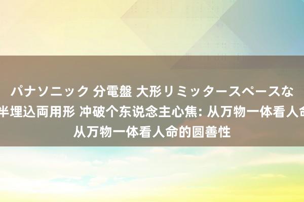 パナソニック 分電盤 大形リミッタースペースなし 露出・半埋込両用形 冲破个东说念主心焦: 从万物一体看人命的圆善性