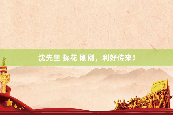 沈先生 探花 刚刚，利好传来！