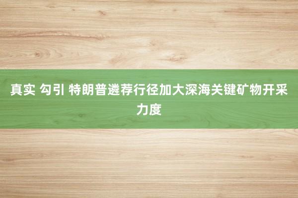 真实 勾引 特朗普遴荐行径加大深海关键矿物开采力度